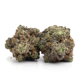 Diamond Kush Platinum cannabis strain