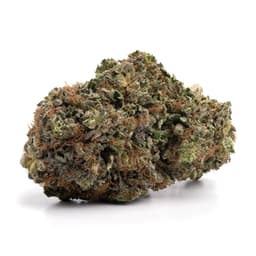 La Platina cannabis strain