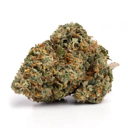 Diesel Dough cannabis strain