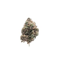 Dirk's OG cannabis strain