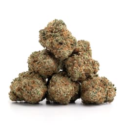 Divorce Cake cannabis strain