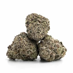 Do Si Durban cannabis strain