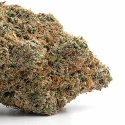 Doc's OG cannabis strain