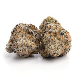 Dog Shit cannabis strain