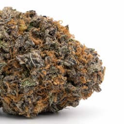 Double Cherry OG cannabis strain