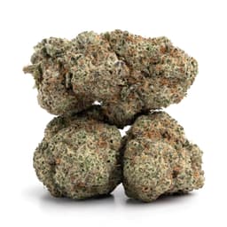 Double Diesel cannabis strain