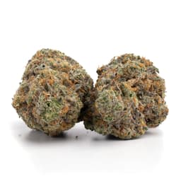 Double Lemon Pie cannabis strain