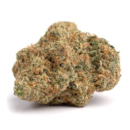 Double OG Kush cannabis strain