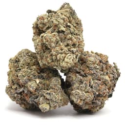 Dream Berry cannabis strain