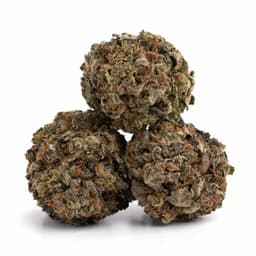 Dream Cookie cannabis strain