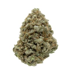 Durban X Super X cannabis strain