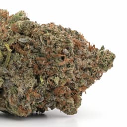 Durban cannabis strain
