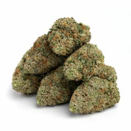 Earthshaker OG cannabis strain