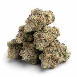 Ed Rosenthal cannabis strain
