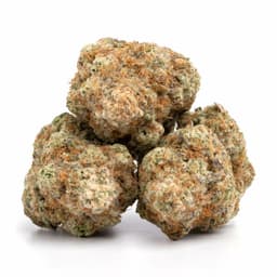 Electric Lady cannabis strain