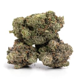 Electric Lemonade cannabis strain