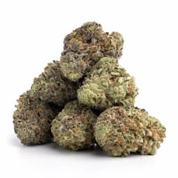 Emerald Diesel cannabis strain