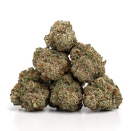 Emerald Fire OG cannabis strain
