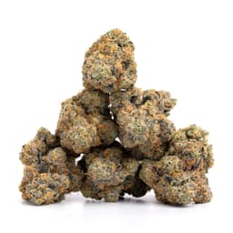 Evie OG BX3 cannabis strain