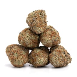 Exodus Kush cannabis strain