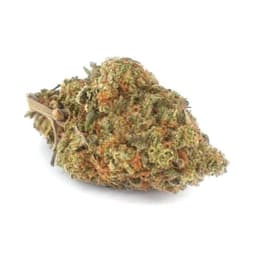 Fire Cookies cannabis strain