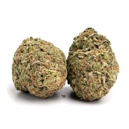 Fire Kush cannabis strain