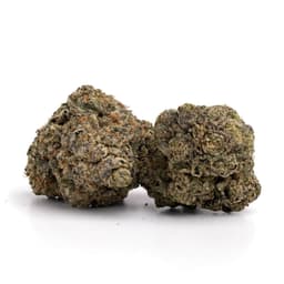 Fire OG King cannabis strain