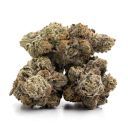 Fire Star cannabis strain