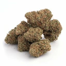 Flaming Cookies cannabis strain