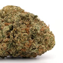 Flavorfuel cannabis strain