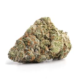 Wellness OG cannabis strain