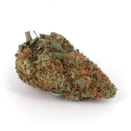 Flowerbomb Kush cannabis strain