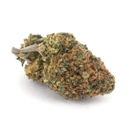 Frankenberry cannabis strain
