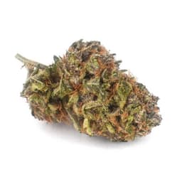 Fried Apples cannabis strain