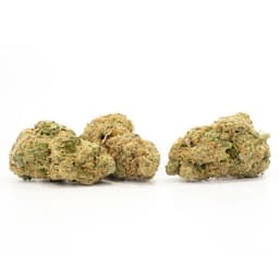 Frog Berry cannabis strain