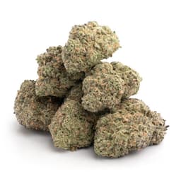 Frosted Cherry Cookies cannabis strain