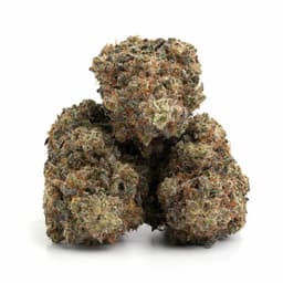 Frosted Vanilla Mints cannabis strain