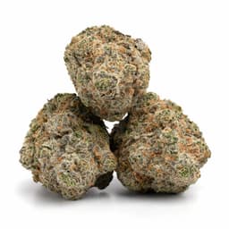 Fruit Gushers #2 cannabis strain