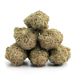 Fruit Joy cannabis strain