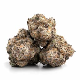 Fruit Pie cannabis strain