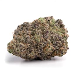 Goldwing cannabis strain
