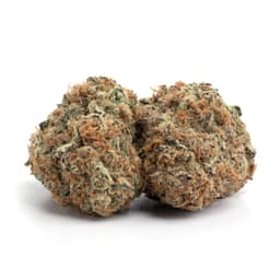 Fruit Tart cannabis strain