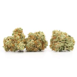 Fruitbound cannabis strain