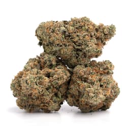 Fruitcake cannabis strain