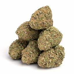 Fruitiez cannabis strain