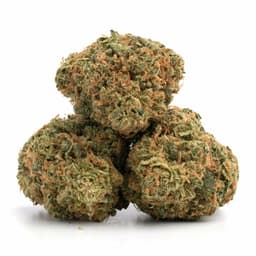 Fruity Chronic Juice cannabis strain