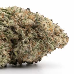 Fruity P OG cannabis strain