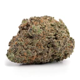 Fruity P cannabis strain