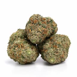 Fuel OG cannabis strain