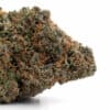 G13 Diesel cannabis strain